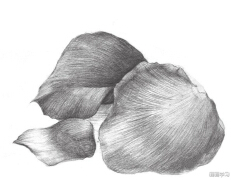 ps上色教程 ps原画上色教程