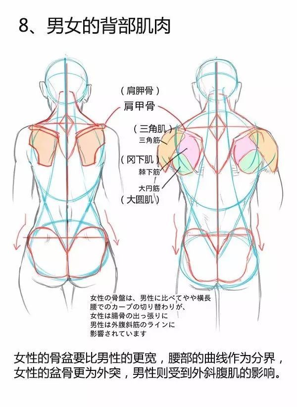 原画教程基础课程初级入门