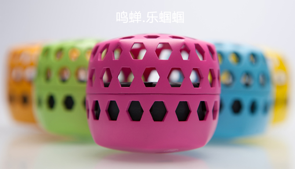 鸣蝉乐蝈蝈，一秒回到最纯真的时代