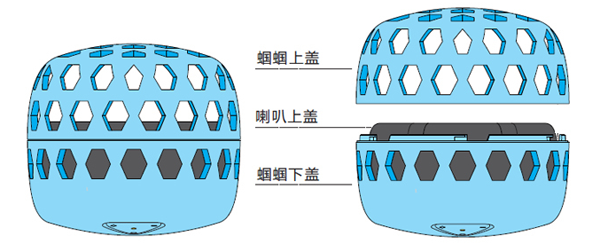 鸣蝉乐蝈蝈，一秒回到最纯真的时代
