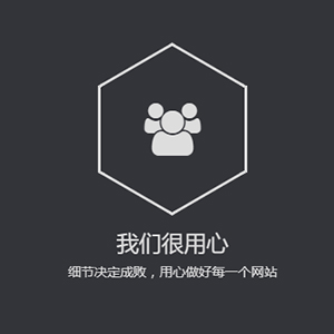 网站定制