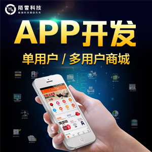 APP定制开发