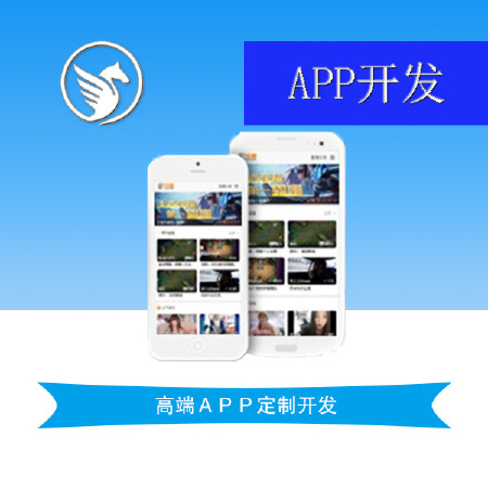 APP开发