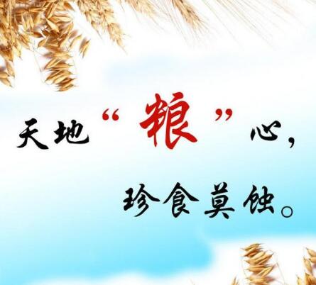 爱惜粮食，节约粮食标语标语集锦