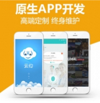 原生APP开发