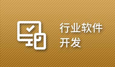 行业软件开发