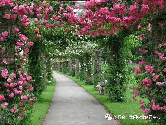 园林景观中的花架设计