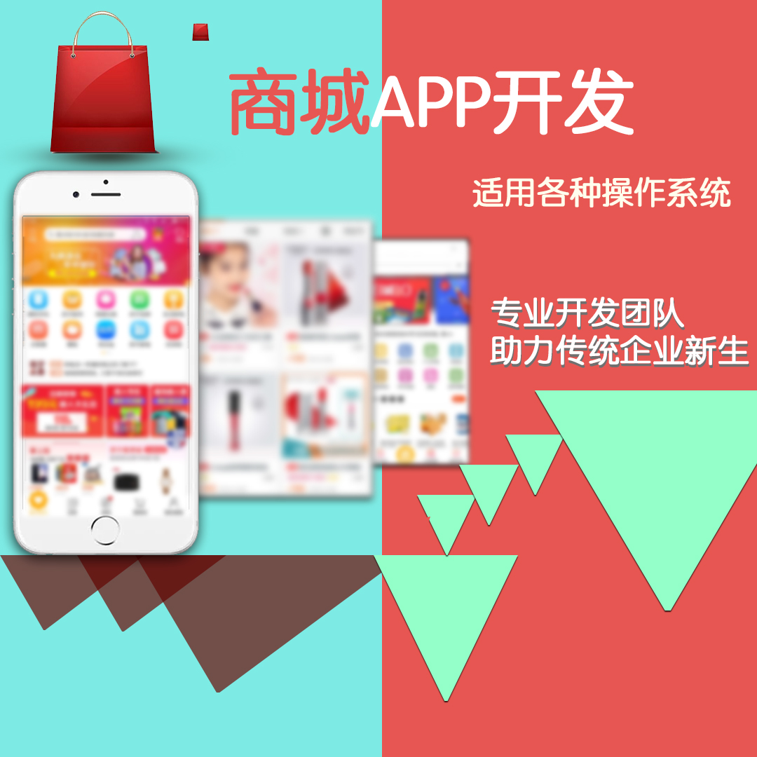 商城网站APP定制开发