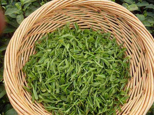 超高清的龙井茶图片欣赏