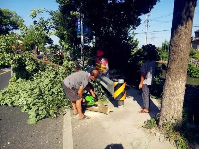 教师节主题班会，公路人这么办