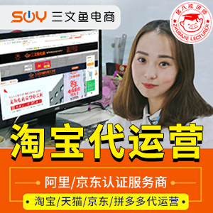 淘宝代运营淘宝运营京东代运营京东运营天猫代运营天猫运营淘宝托管店铺整体托管代运营拼多多代运营