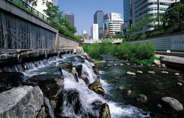 河道湿地景观设计汇总大全!