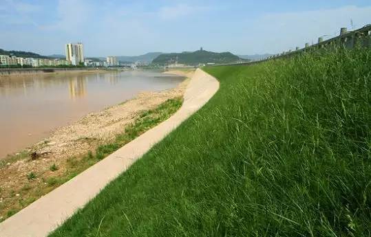 河道湿地景观设计汇总大全!