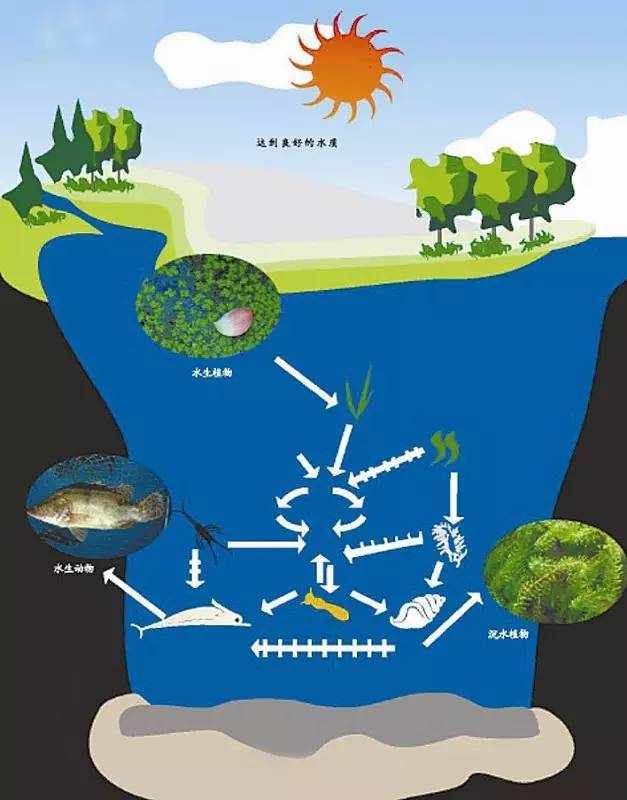 河道湿地景观设计汇总大全!
