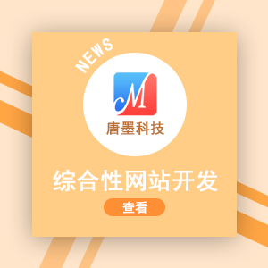 综合性网站建设