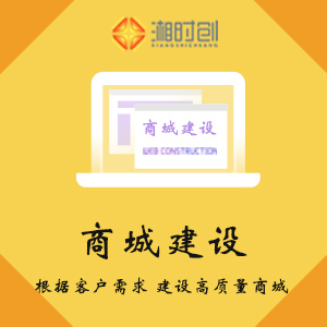 商城网站建设