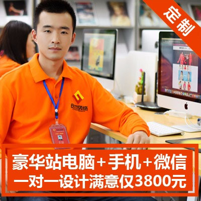 【豪华网站建设】电脑+手机 网站制作 网站开发定制 网站仿站