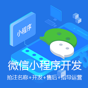 微信小程序定制开发 小程序商城分销系统