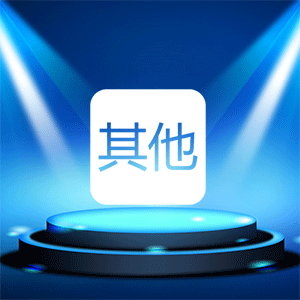 其他服务