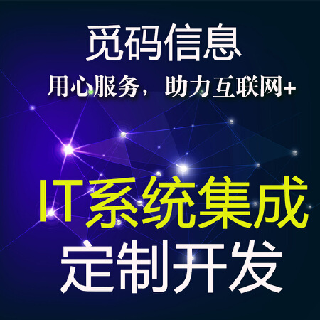 IT系统集成，综合性网站开发