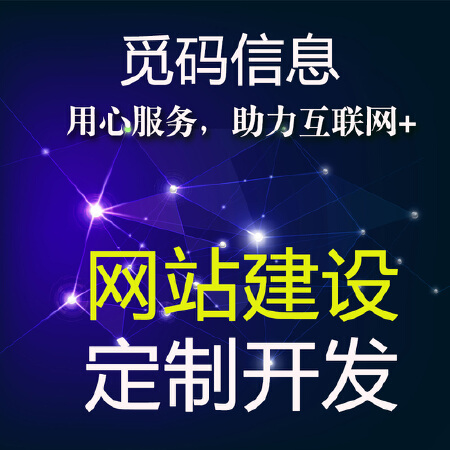 企业网站，商城网站，行业网站建设