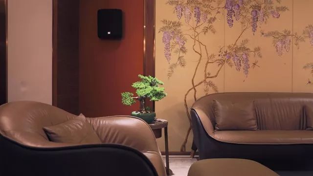 现代中式的别墅设计