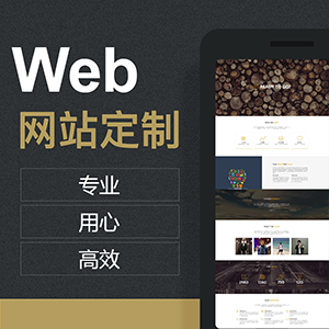 高端网站定制开发