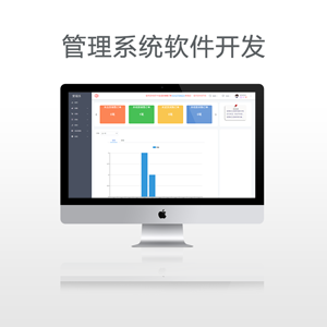 管理系统软件开发（oa+erp）