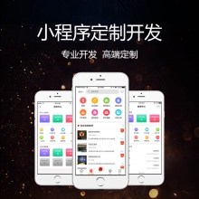 小程序定制开发
