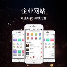 企业展示网站定制开发