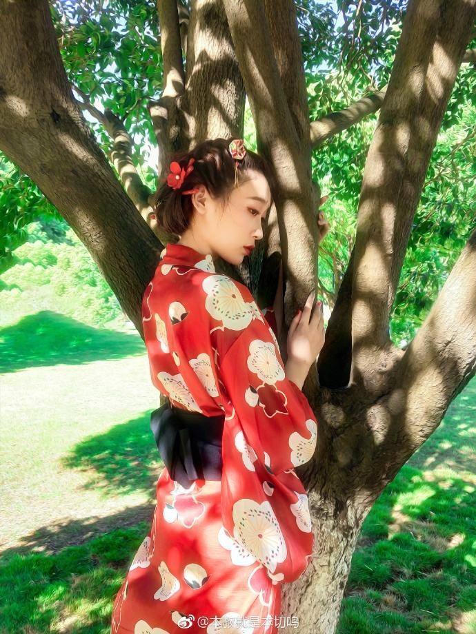 哪里有光影魔术手素材?超美的光影魔术手素材下载