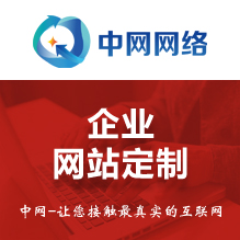 企业网站定制