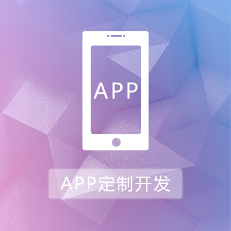 APP定制开发