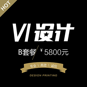 VI设计