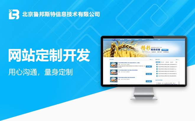 【北京网盟天下网站定制开发】网站定制开发