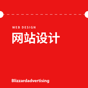 网站开发设计