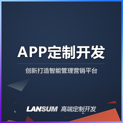 APP定制开发