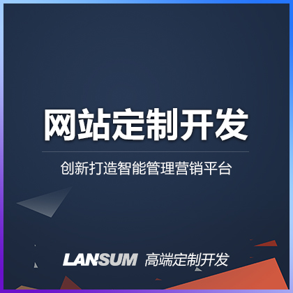 网站定制开发