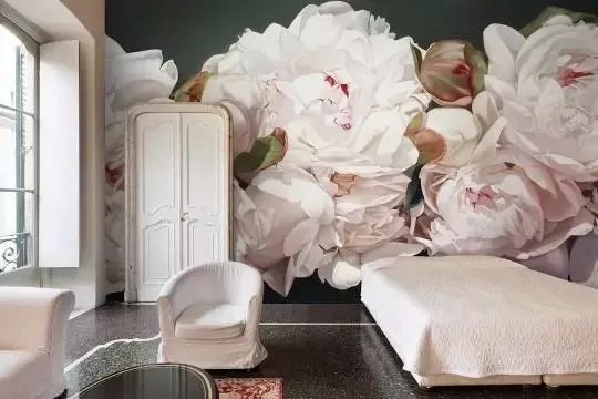 独一无二的家庭手绘墙，这样的家庭手绘墙太美了