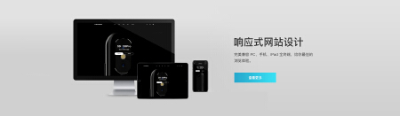 威有-响应式网站
