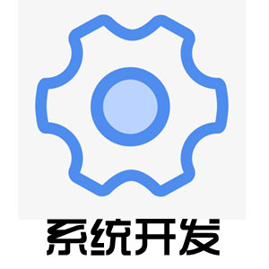 系统开发