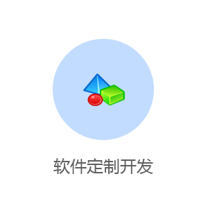 软件定制开发