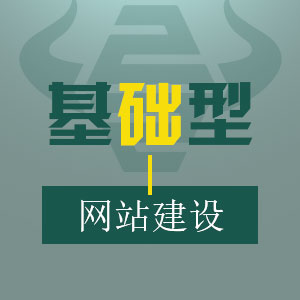 基础型网站建设