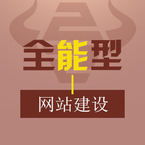 全能型网站建设