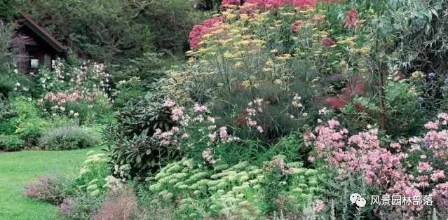 如何做好花境设计?花境设计案例图片欣赏大全