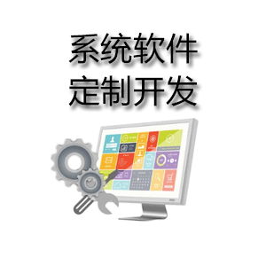 系统软件定制开发