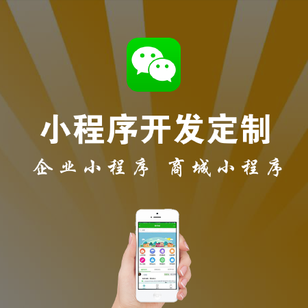 专业微信小程序开发搭建
