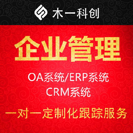 企业管理定制化软件开发