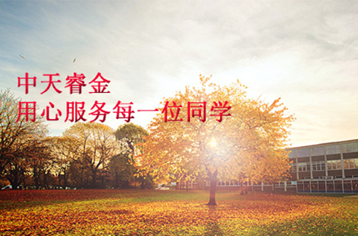 中天睿金培训平台