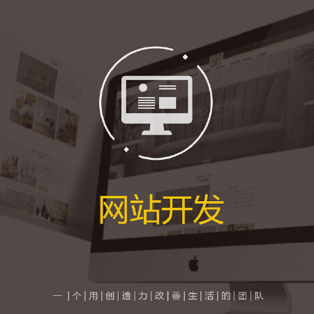 网站开发